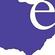 epilepsy association