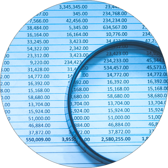 Image of magnifying glass placed on top of spreadsheet