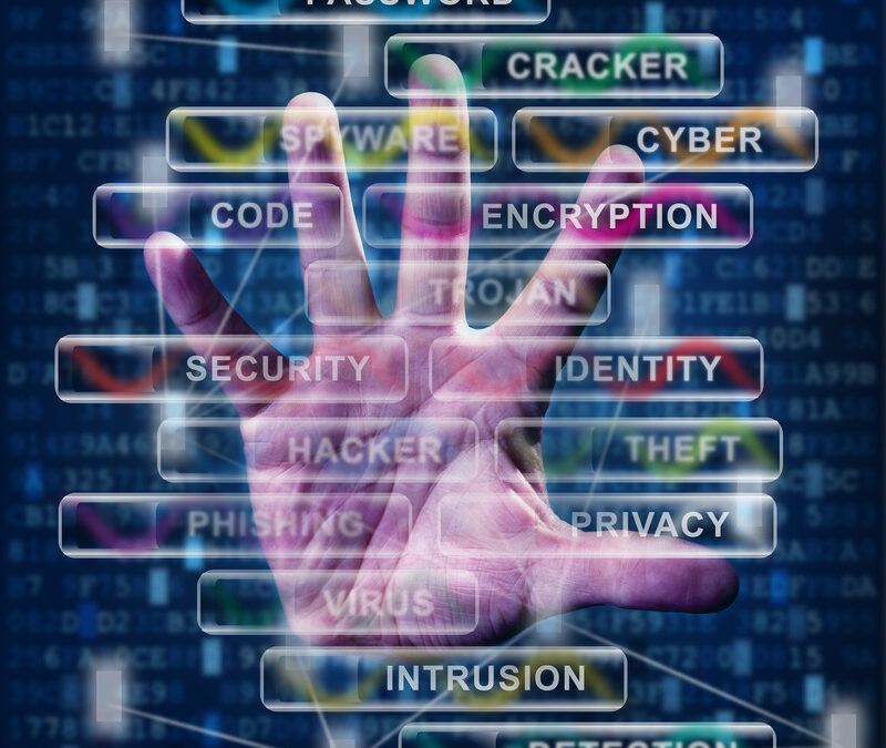 Understanding the National Public Data Breach