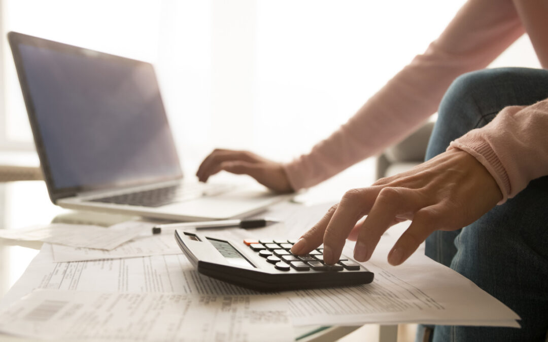 Electronic Tax Payments: Can Individuals Pay Income Taxes Online?